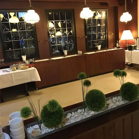 Parkhotel ברגהיים